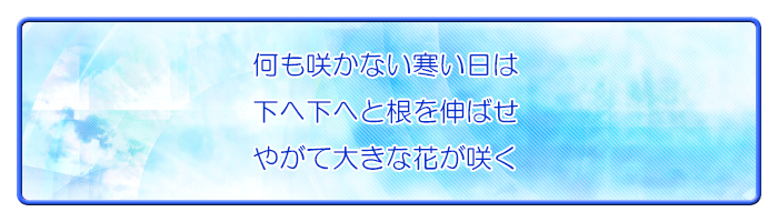 何も咲かない寒い日は下へ下へと根を伸ばせ